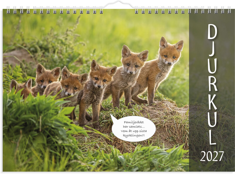 Väggkalender 2027 Djurkul