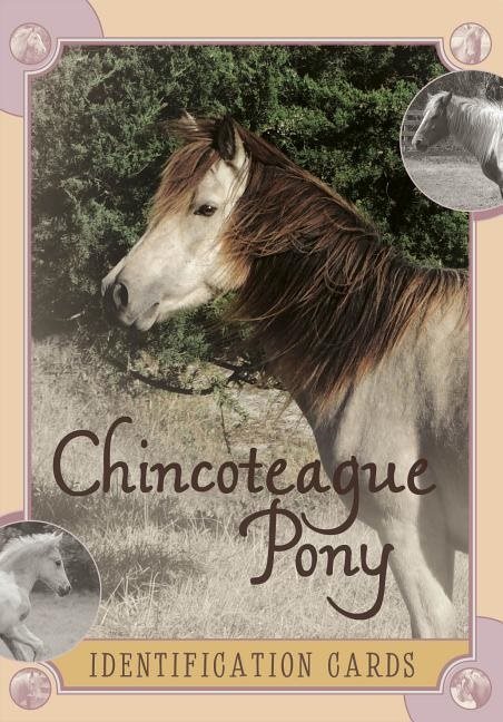 Chincoteague Pony Identification Cards : Set 2