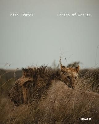 Mital Patel
