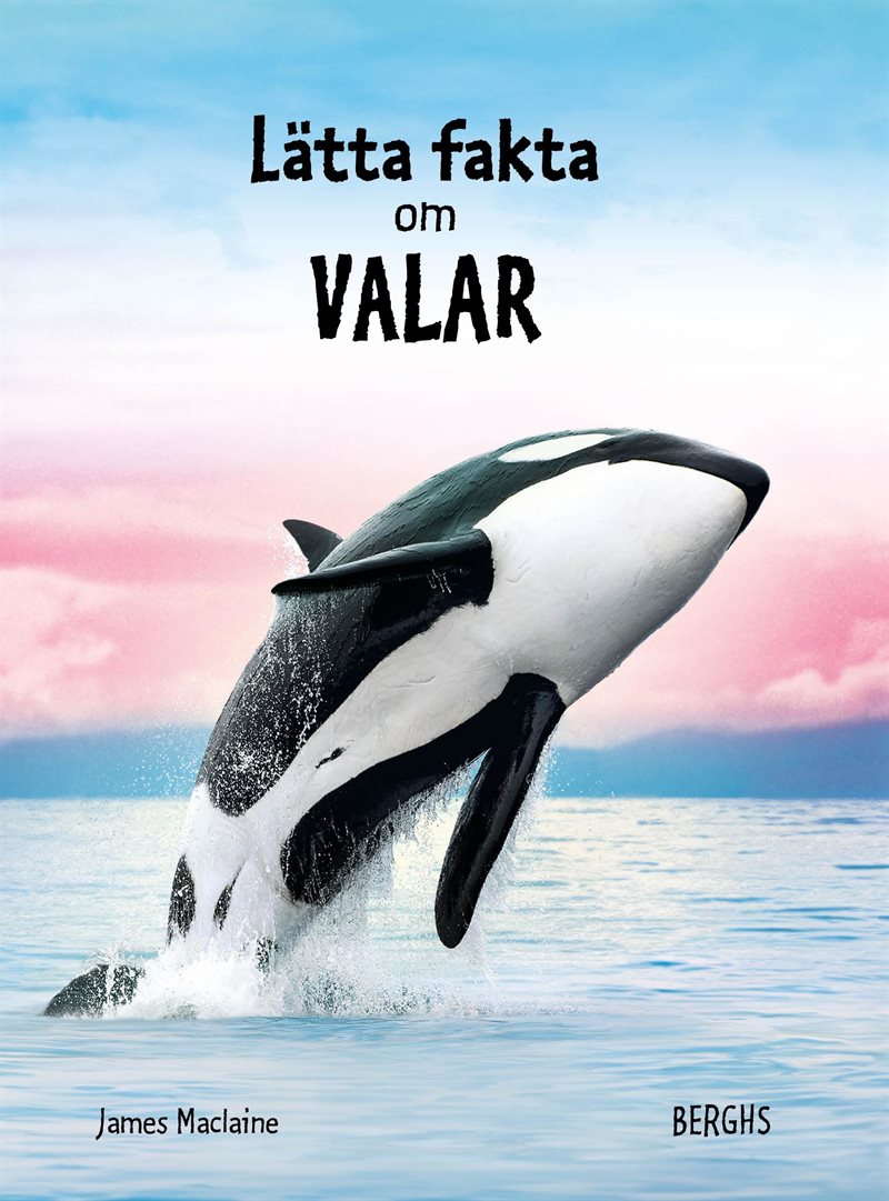 Lätta fakta om valar