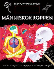 Skrapa, upptäck & förstå. Människokroppen