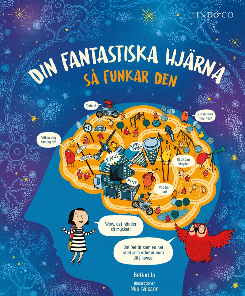 Din fantastiska hjärna : så funkar den