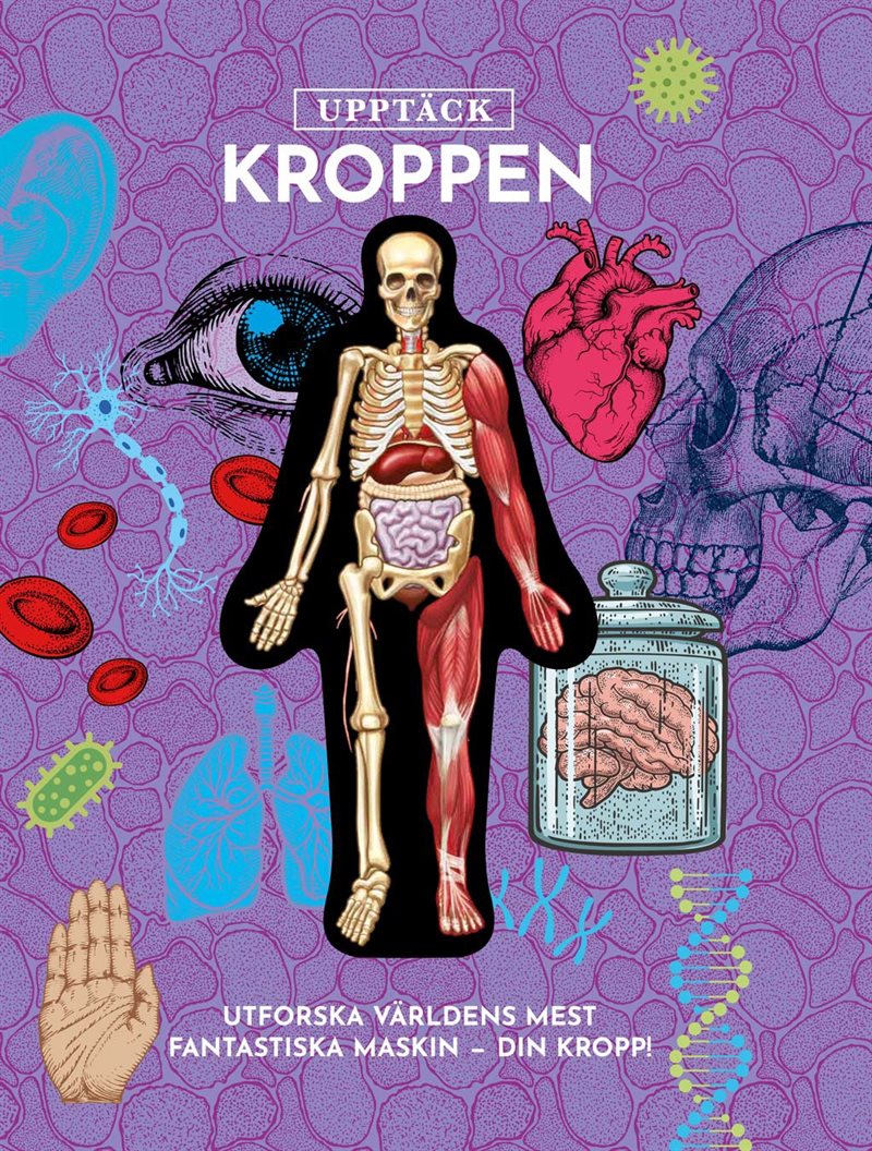 Upptäck kroppen : Utforska världens mest fantastiska maskin - din kropp!
