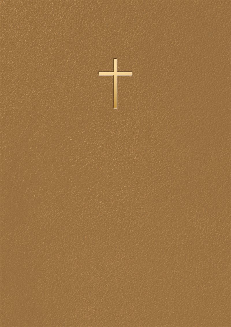 Bibel 2026 Bärnsten konstskinn