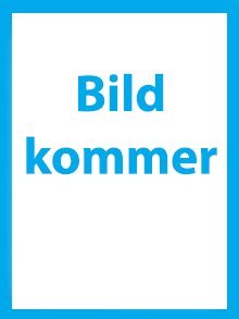 En riktig man. Om manlig vänskap.