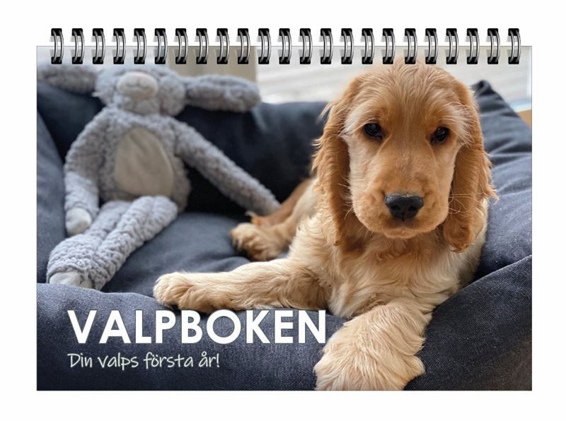 Valpboken : din hunds första år