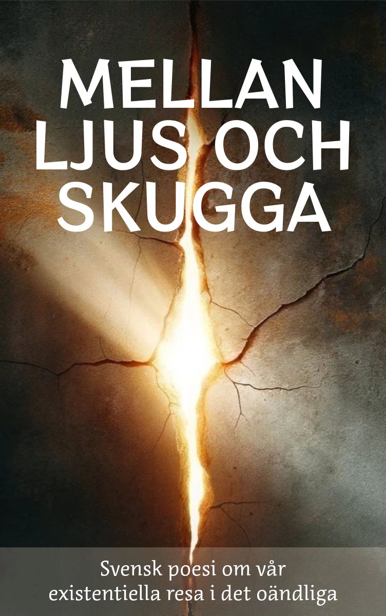 Mellan ljus och skugga : svensk poesi om vår existentiella resa i det oändliga