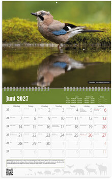 Väggkalender 2027 Jaktkalender